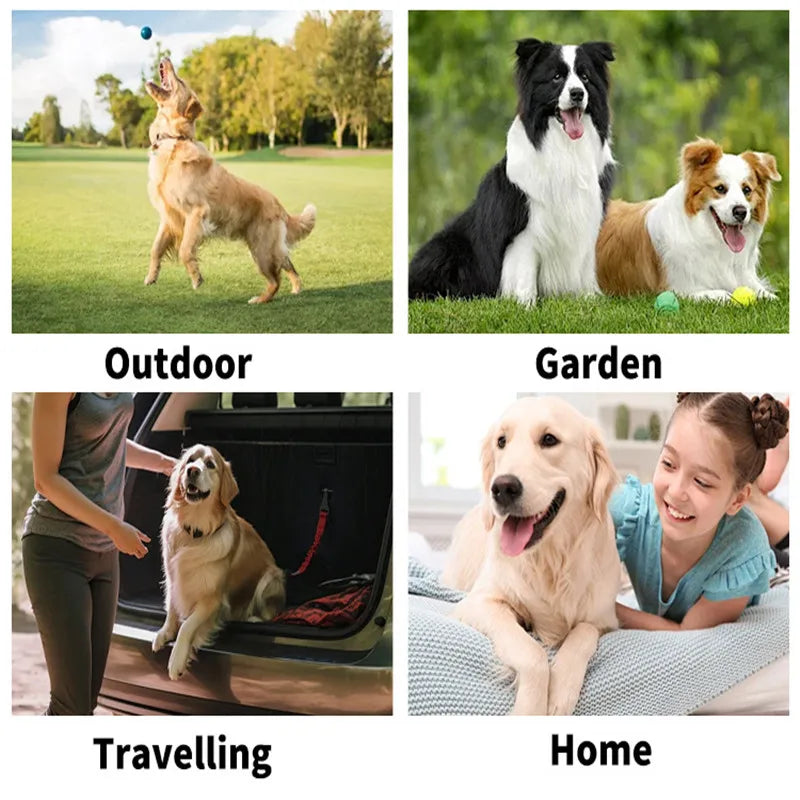 Pet cleaning supplies disposable gloves cat and dog bath cleaning wet wipes gloves deodorizing Grooming Gloves for Daily Care
