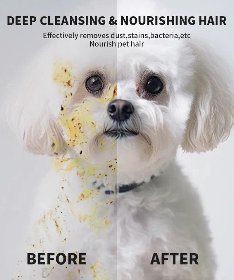 New 6PCS Pet Wash-Free Gloves Cat Bath Deodorant Wipes Disposable Cleaning Dry Cleaning Dog Wipes Gentle And Convenient Gloves